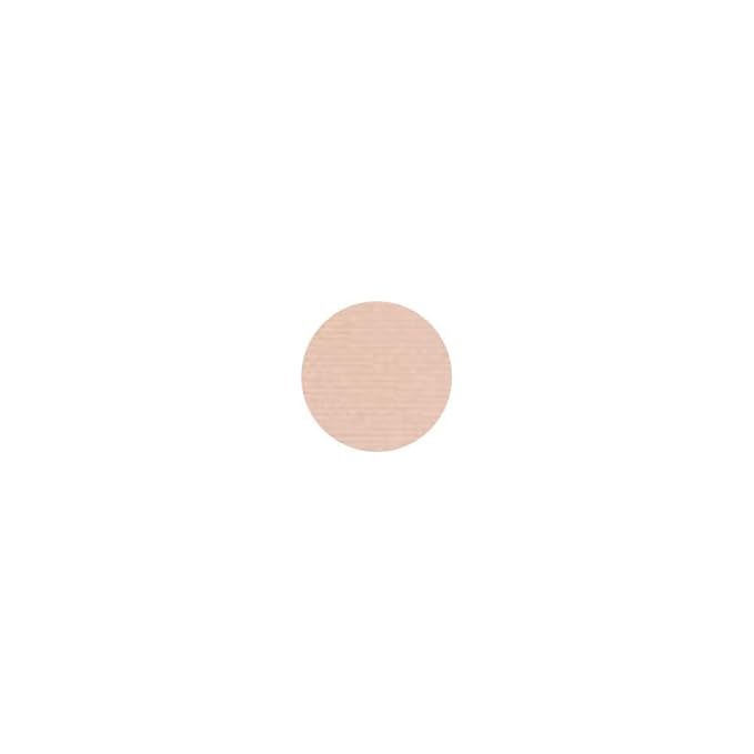 catr. all matt plus maquillaje matificante en polvo 010