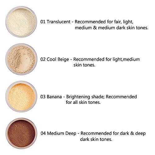 2 Pcs PHOERA Translucent Setting Powder, Control Oil Brighten Skin Color Cover Blemish Face Setting Loose Powderγ (01 Translucent)