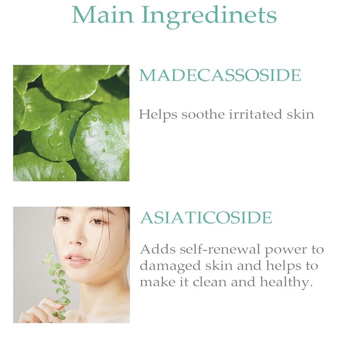 Goodbye Sebum Control Finish Powder 5g β Lightweight CICA Face & Hairline Powder for Oil Control and Long-Lasting Soft Matte Finish (CICA)