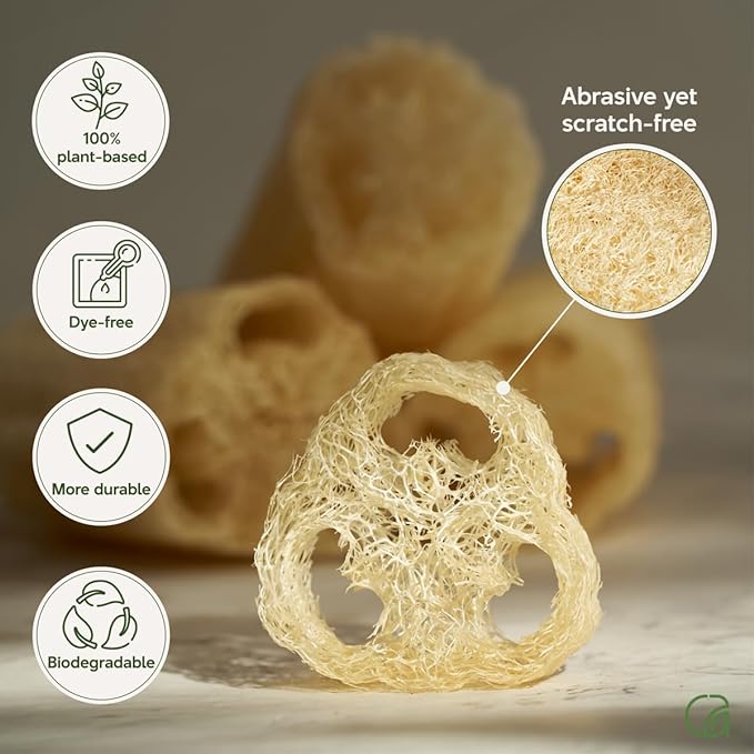 Chill Ah Natural Loofah Sponge Set β 100% Plant-Based, Dye-Free, Biodegradable Bath Exfoliator for Glowing Skin β Handcrafted in Vietnam (4-Pack)