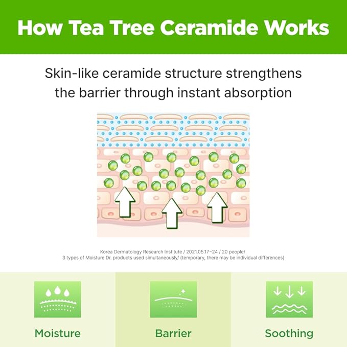 ISOI Moisture Dr. Soothing Duo - Tea Tree Ceramide Toner & Light Cream for Sensitive Skin, Korean Skincare