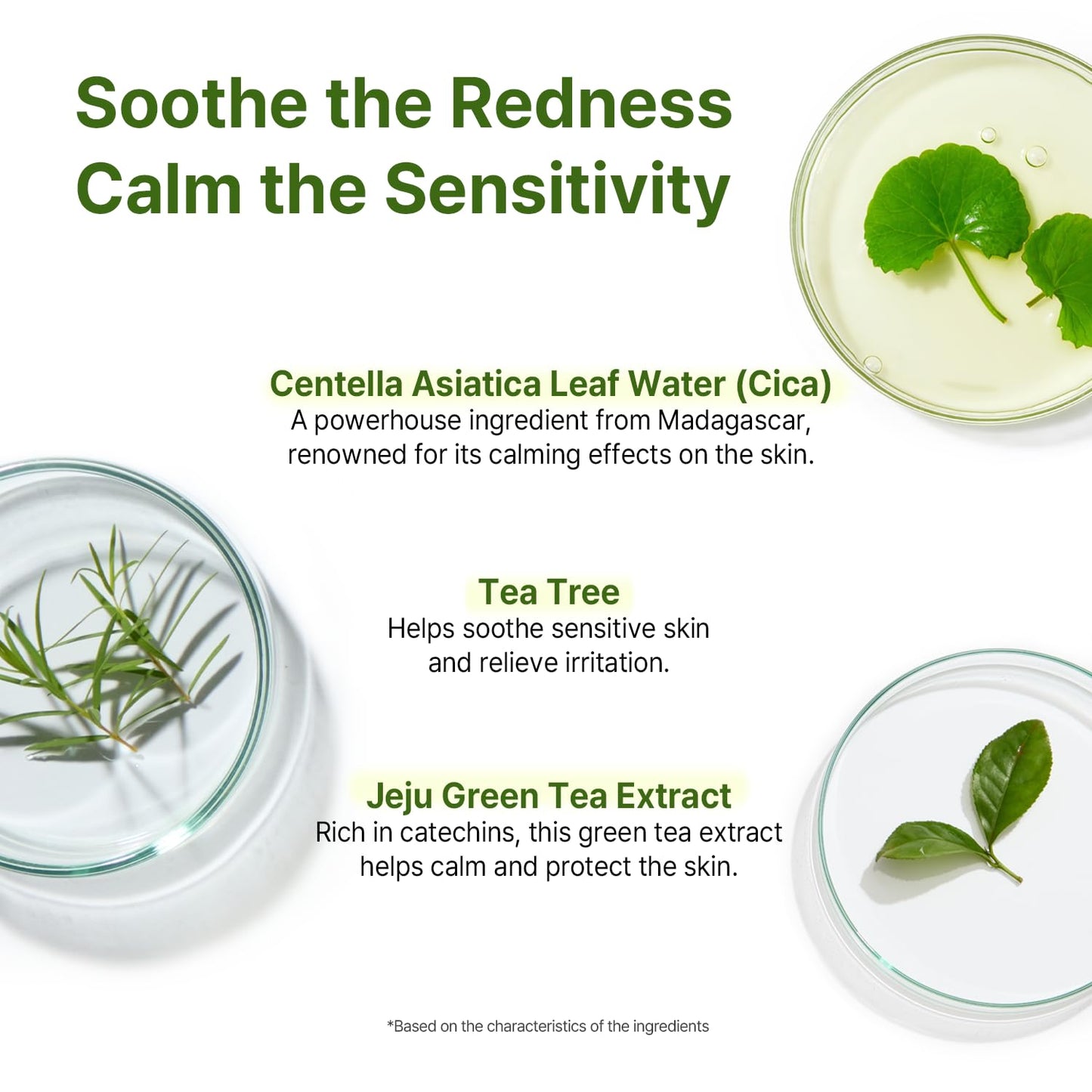 AVCA Cica Tea Tree Calming Serum 100ml(3.38 fl. oz) – Soothing for Redness & Sensitive, Blemish-Prone Skin, Oil Control K-Beauty