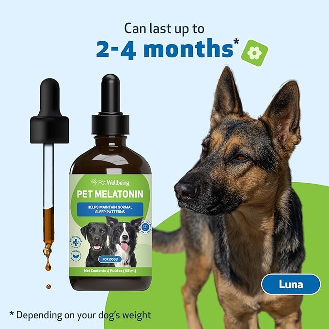 Pet Wellbeing Pet Melatonin for Dogs - Supports Adrenal Health, Cortisol Balance, Helps Maintain Normal Sleep Patterns - Veterinarian-Formulated Liquid Supplement 4 fl oz (118 ml)