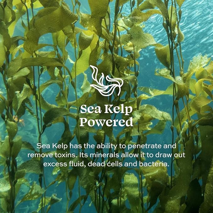 Aleavia Lavender Body Cleanse β Organic & All-Natural Prebiotic Body Wash, Scented with Pure Essential Oils β Nourish Your Skin Microbiome β 16 Oz.