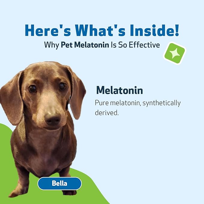 Pet Wellbeing Pet Melatonin for Dogs - Supports Adrenal Health, Cortisol Balance, Helps Maintain Normal Sleep Patterns - Veterinarian-Formulated Liquid Supplement 4 fl oz (118 ml)