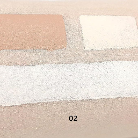 3 Color Concealer Conceal Correct Countor 02
