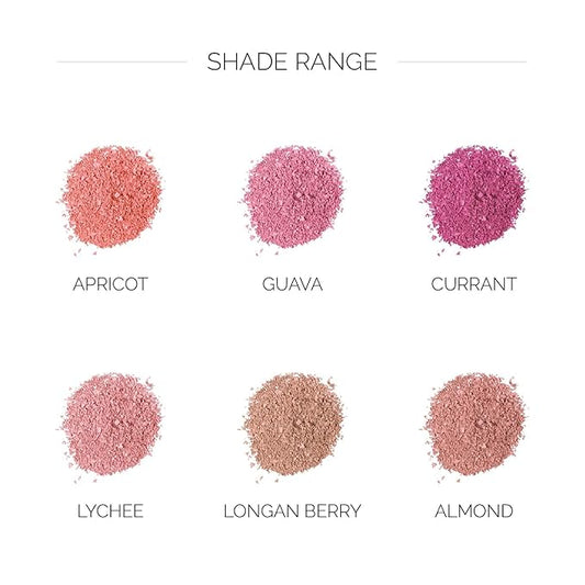 OFIR Elation Powder Blush β Buildable & Highly-Pigmented, Line-Blurring Formula for a Smooth Finish | Currant- Bright Berry Shade, 0.13 oz | Long-Lasting, Lightweight Blush Powder