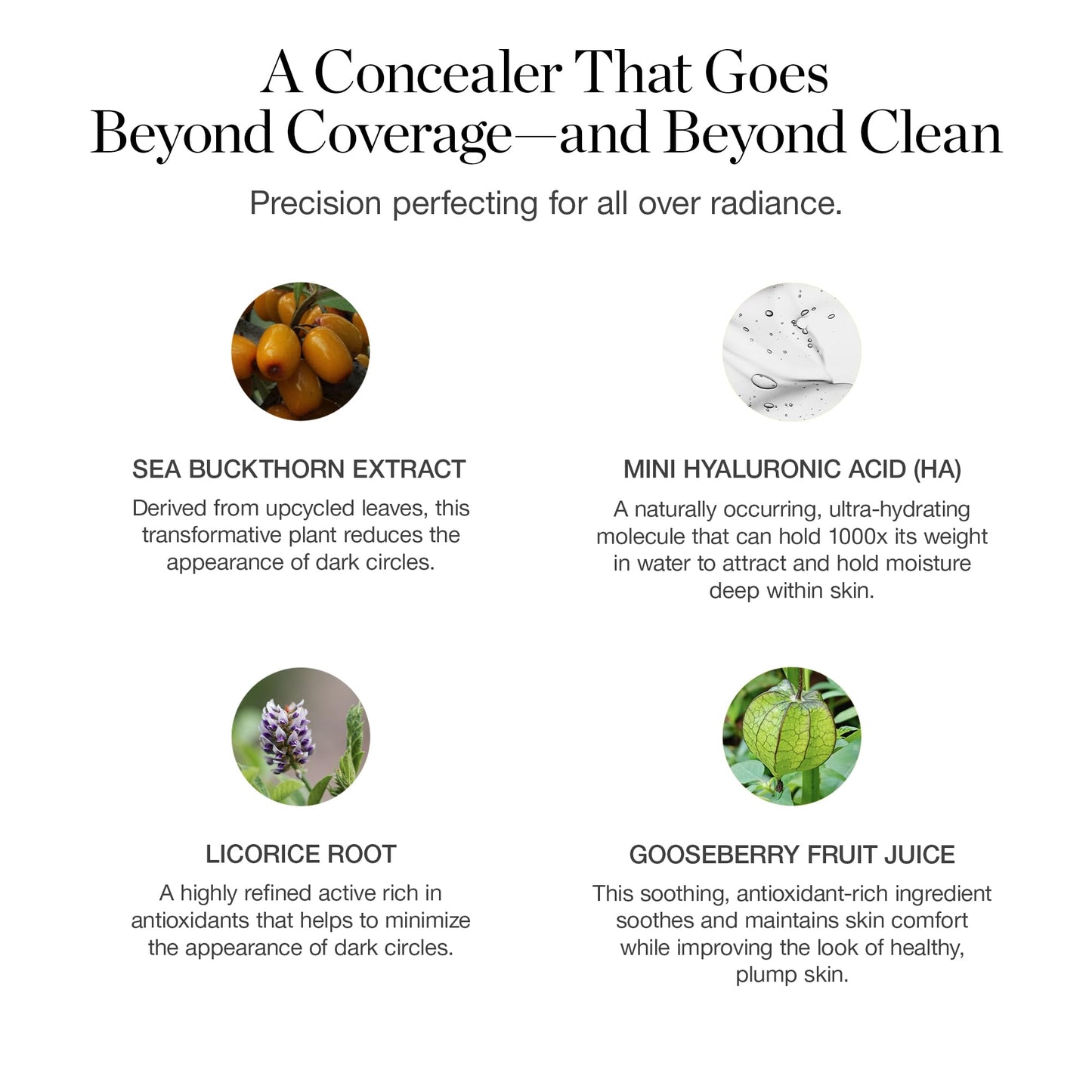 Ogee Complexion Perfecting Under Eye Concealer - Certified Organic Full Coverage Concealer - Buildable Coverage - LINDEN 1.25N - Light Beige (Neutral Undertones)