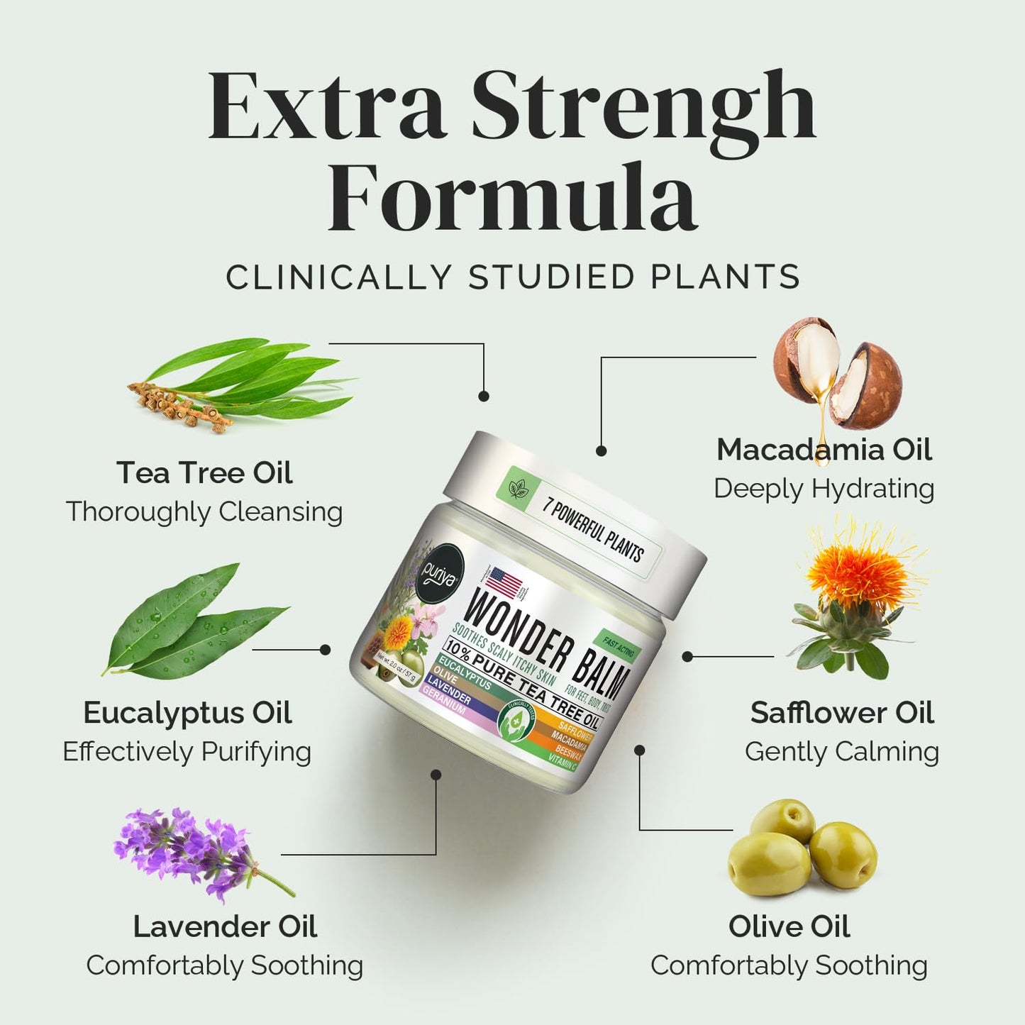 Tea Tree Oil Balm, Extra Strength, Pair Well with Jock Itch Cream, Spray, Athletes Foot, Ringworm Cream for Human, Rash Cream, Fast Acting for Dry, Itchy Skin, Plant Powered Wonder Balm