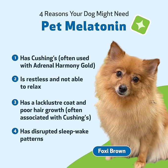 Pet Wellbeing Pet Melatonin for Dogs - Supports Adrenal Health, Cortisol Balance, Helps Maintain Normal Sleep Patterns - Veterinarian-Formulated Liquid Supplement 2 fl oz (59 ml)