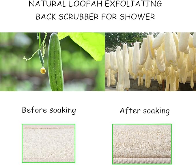 Dry Body Brush Exfoliating Back Scrubber,Brushing Body Brush for Cellulite and Blood Flow,Lengthened Natural Loofah Exfoliating Body Scrubber for Shower
