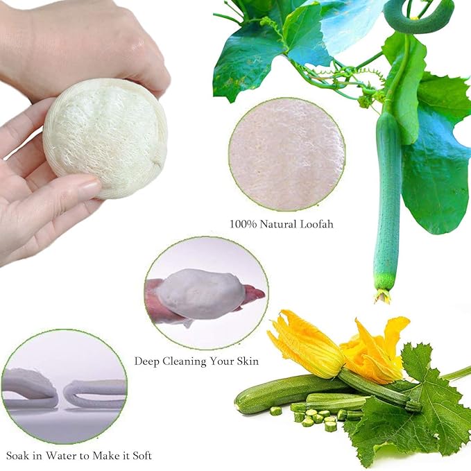 Loofah Sponge Exfoliating Facial Cleaning Pads,10 Packs Natural Loofa Face Scrubber Large Cleanser for Men Women Bath Spa Cleansing,3.15 Inches Dia