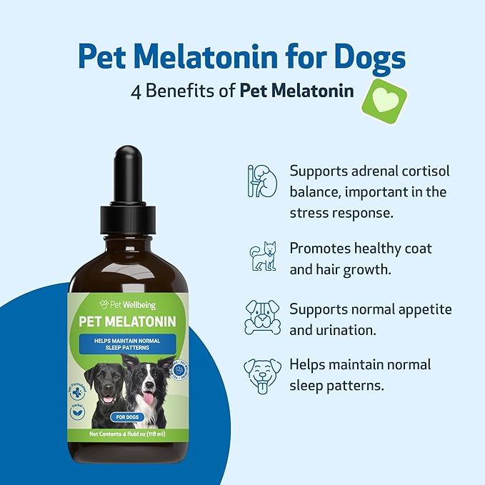 Pet Wellbeing Pet Melatonin for Dogs - Supports Adrenal Health, Cortisol Balance, Helps Maintain Normal Sleep Patterns - Veterinarian-Formulated Liquid Supplement 4 fl oz (118 ml)