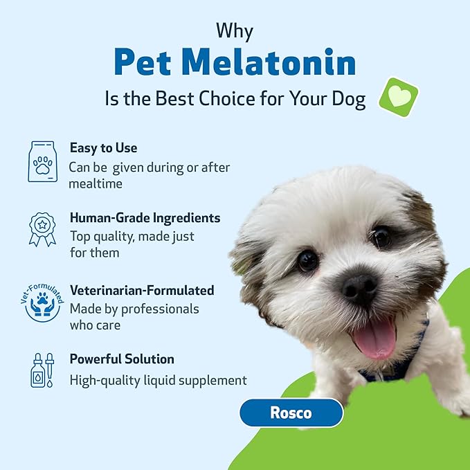 Pet Wellbeing Pet Melatonin for Dogs - Supports Adrenal Health, Cortisol Balance, Helps Maintain Normal Sleep Patterns - Veterinarian-Formulated Liquid Supplement 4 fl oz (118 ml)