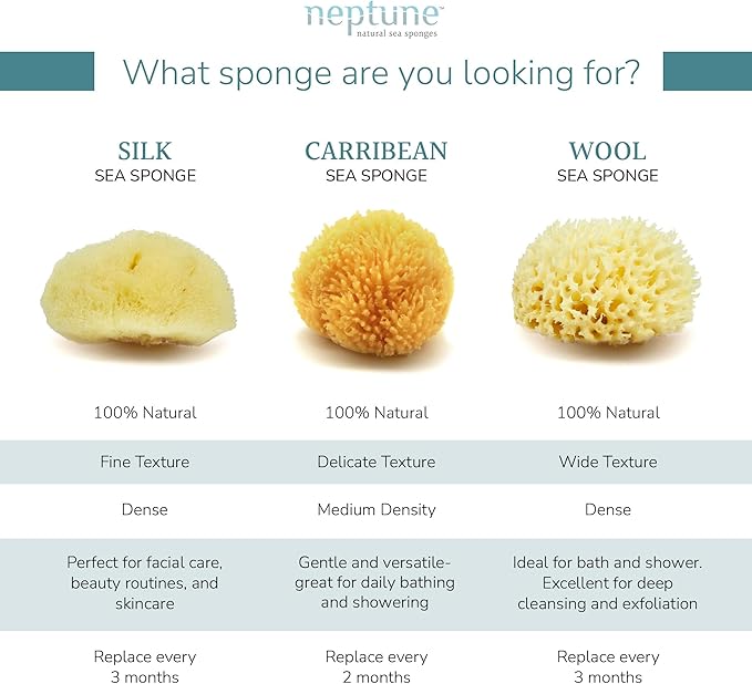 Neptune Caribbean Sea Sponge, Extra Extra Large, Approx. 8-9 inches