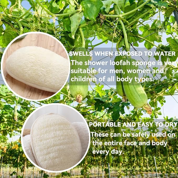 3 Pack Natural Loofah Sponge Exfoliating Body Scrubber, Made of Natural Biodegradable Shower Loufa Sponge, for Shower & Bath