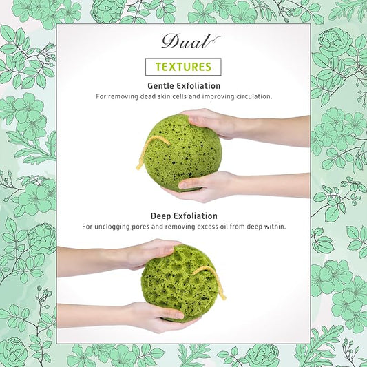 Spongentle Deep Cleansing Body Loofah Sponge, Natural Colors, for Bath and Shower, Multiple Textures for Gentle and Deep Exfoliation, Generous and Rich Lather, (Pack of 3)