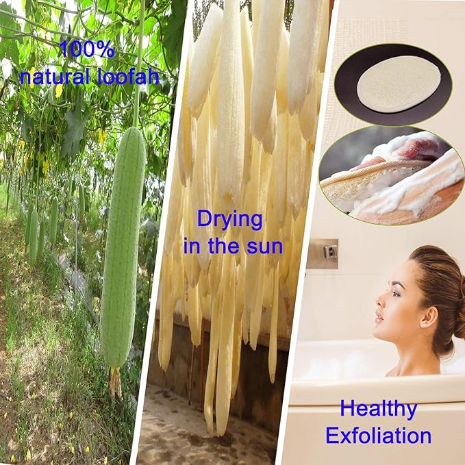 2 Pack Exfoliating Shower Loofah Sponge Pads, Body Scrubber for Men Women Removing Dead Skin, Made with Natural Luffa and Terry Cloth, 5.9x3.7IN Loofahs Mesh Pouf Body Glove for Bath Spa