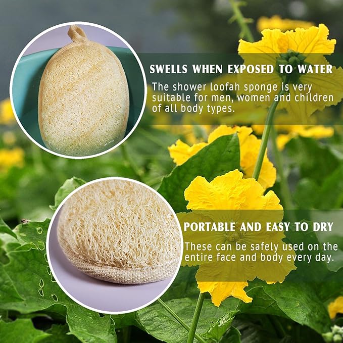 Natural Loofah Sponge Exfoliating Body Scrubber and Soft and Easy Foaming Face Exfoliating Loofah Pad Scrubber