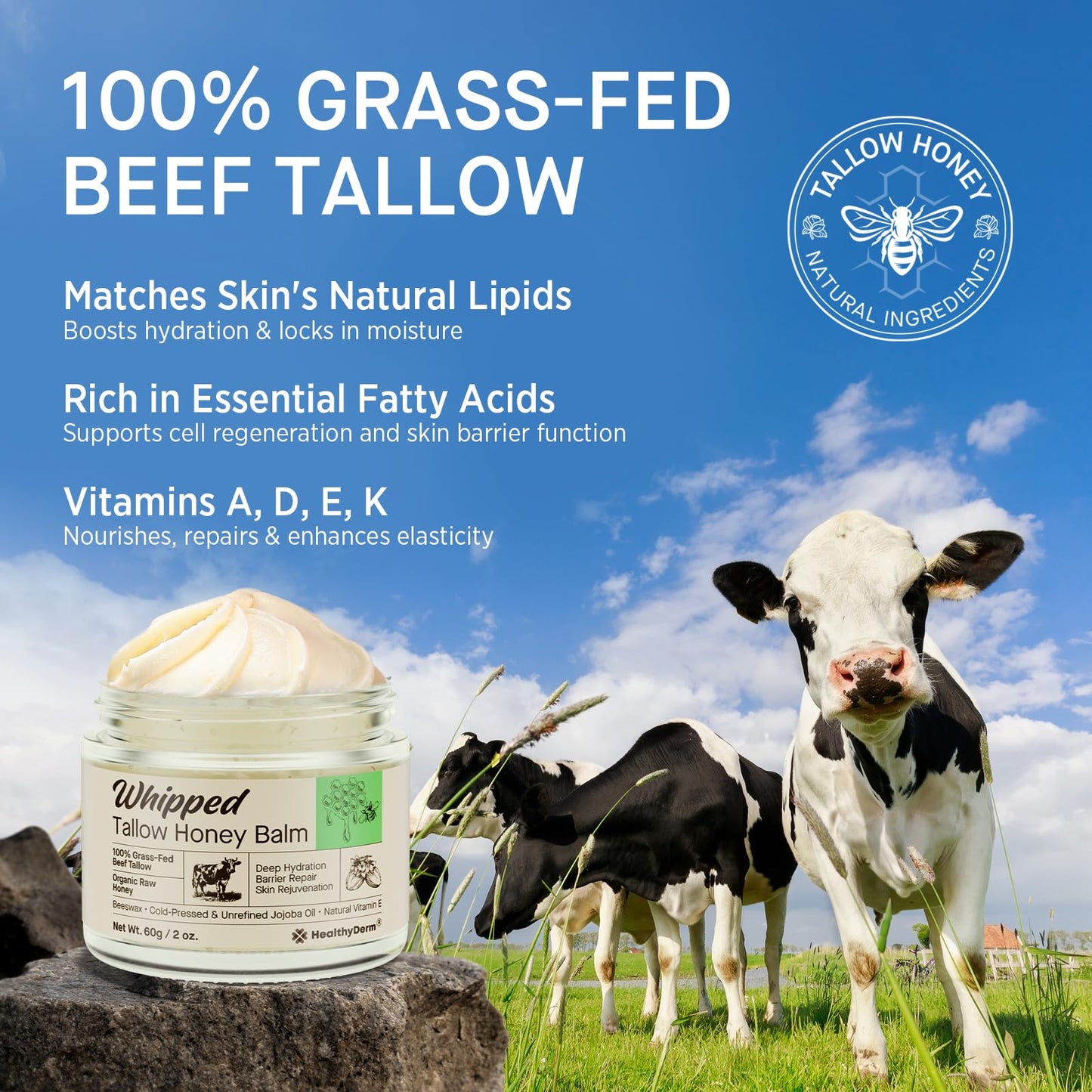 Beef Tallow Honey Balm for Skin: 100% Grass Fed Whipped Organic Moisturizer with Organic Raw Honey, Jojoba Oil, Vitamin E – Natural Face and Body Care for Mature, Dry or Sensitive Skin, 2oz