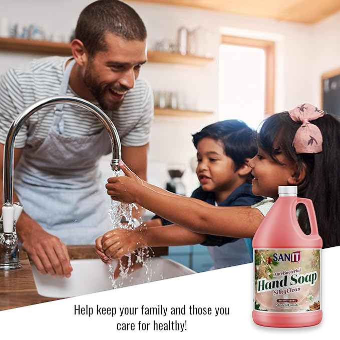 Sanit Silky Clean Antibacterial Liquid Gel Hand Soap Refill - Advanced Formula with Coconut Oil and Aloe Vera - All Natural Moisturizing Hand Wash - Made in USA, Holiday Aroma, 1 Gallon