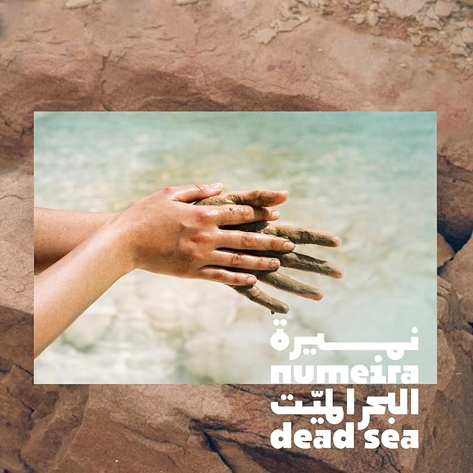 Dead Sea Mud Powder 100% Pure Cosmetic Clay Powder Rich in Minerals - Gentle Face Exfoliator Powder for Deep Cleansing, Body Scrub, or Clay Mud Mask - Pore Cleansing & Skin Detox - 1kg