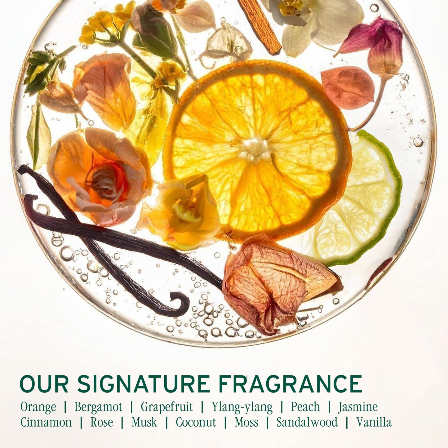 Biolage Scalp Sync Anti-Dandruff Shampoo - Controls Itchy Scalp, Deeply Cleanses, Moisturizing Dandruff Treatment, With Zinc Pyrithione, Vegan & Cruelty-Free, 13.5 Fl Oz