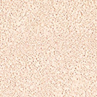 [JUNGSAEMMOOL OFFICIAL] Essential Skin Nuder Cushion (Fair) | Refill | Natural Finish | Buildable Coverage | Makeup Artist Brand