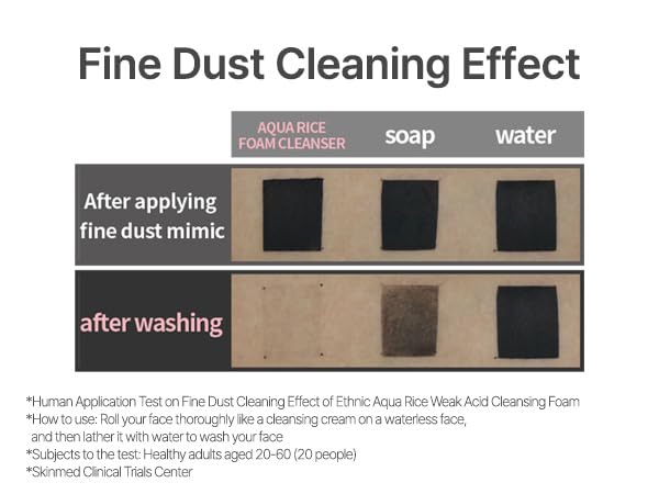 AQUA RICE FOAM CLEANSER | Facial Cleanser, Rice Extract Rice Powder Cleanser with Mild Cleansing, Glycerin,Vegan, Face Wash, Korean Skincareㅣ 80ml 2.7 Fl Oz