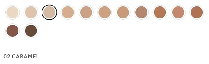 Radiant Professional Natural Fix All Day Matte Cream Foundation - Long Wear High Coverage Face Makeup Foundation With SPF 15 - Oil Free Matte Finish - For All Skin Types-1.01 oz. (02 - Caramel)