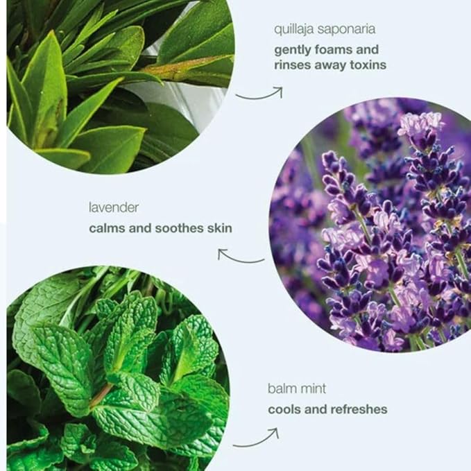 AquaBio Organic Hydrating Toner with Rose Water & Aloe Vera, Moisturizing Toner for Dry Skin, Vegan & Alcohol-Free, Calming & Nourishing, Gentle & Balancing, Purifying & Brightening Formula 6.75 Oz