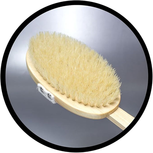 Natural Wood Bath & Body Brush with Long Handle - 100% Wild Boar Bristle