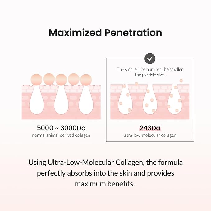 BIODANCE Collagen Cream | Firming Facial Moisturizer with Collagen, Mineral water, Hyaluronic Acid for Face | 1.69 fl.oz, 50ml