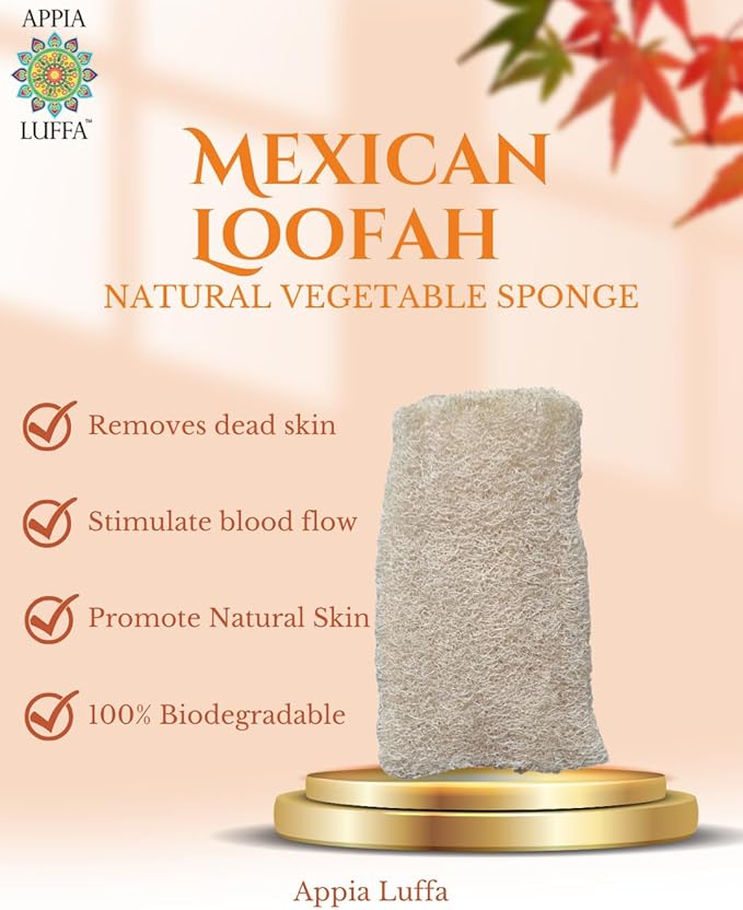Medium Mexican Loofah Vegetable Sponge (13cm) | Loofah Bath Sponges | All Purpose Vegetable Sponge | Eco Friendly 100% Natural & Biodegradable | Daily Skin Cleansing Care for Women and Men