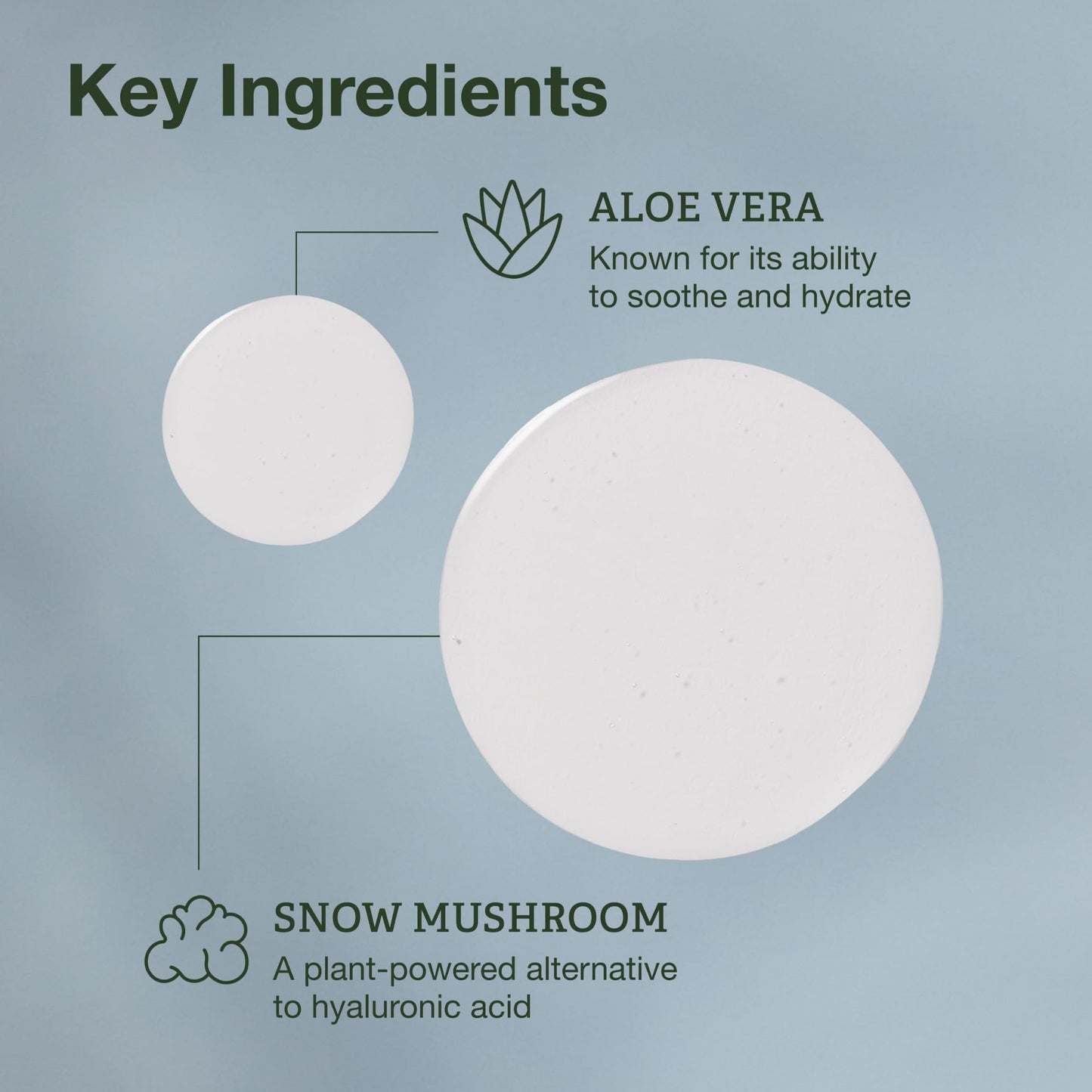 Botanics Micellar Water Makeup Remover - Hydrating & Gentle Cleansing Water - Enriched with Snow Mushroom & Aloe Vera - Vegan & Cruelty-Free Eye Makeup Remover Liquid (13.5 Fl Oz)