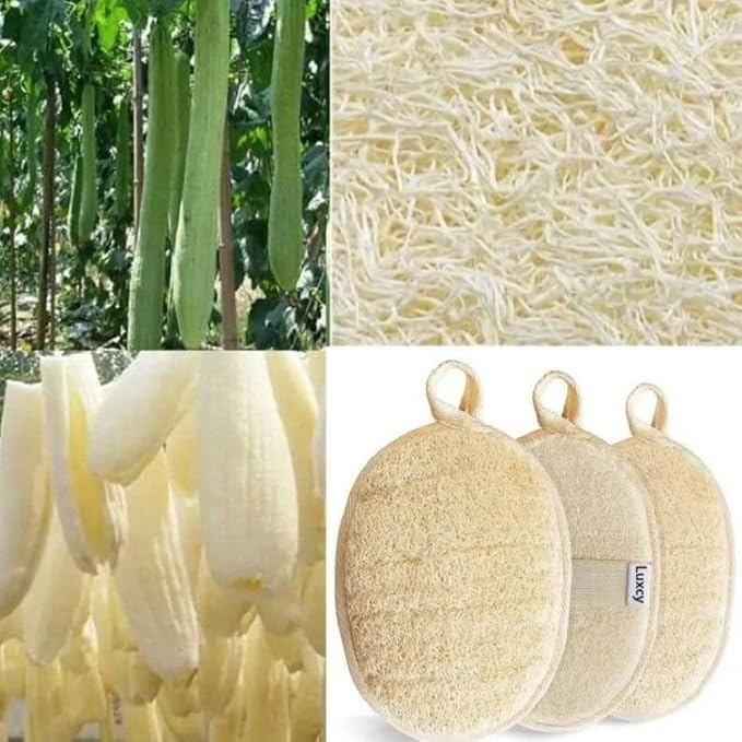 Natural Loofah Exfoliating Body Scrubber, Dual-Sided Shower Loofah Sponge, Bath Shower Loofah Spong for Men and Women, Face and Body Bath Scrubber- 3 Count (1 Pack)