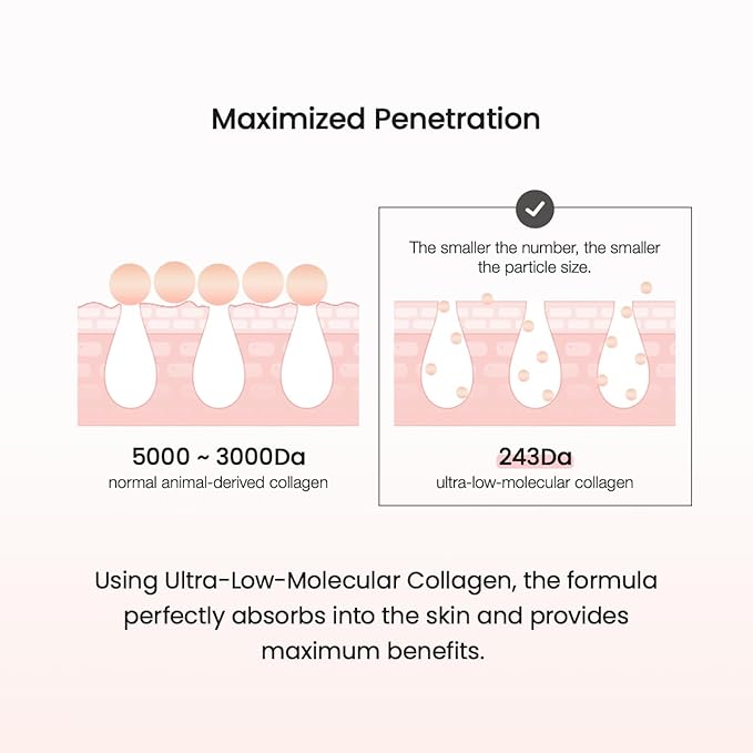 BIODANCE Collagen Cream | Firming Facial Moisturizer with Collagen, Mineral water, Hyaluronic Acid for Face | 1.69 fl.oz, 50ml