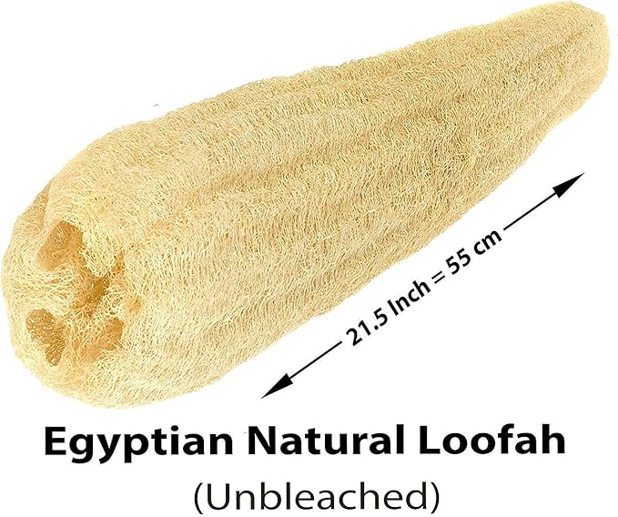 1 Pcs Egyptian Loofah Luffa Loffa Lofa Loofa Scrubber Natural SPA Beauty Bath Body Luxurious Premium for Skin Exfoliating (21.5" / 54 cm)