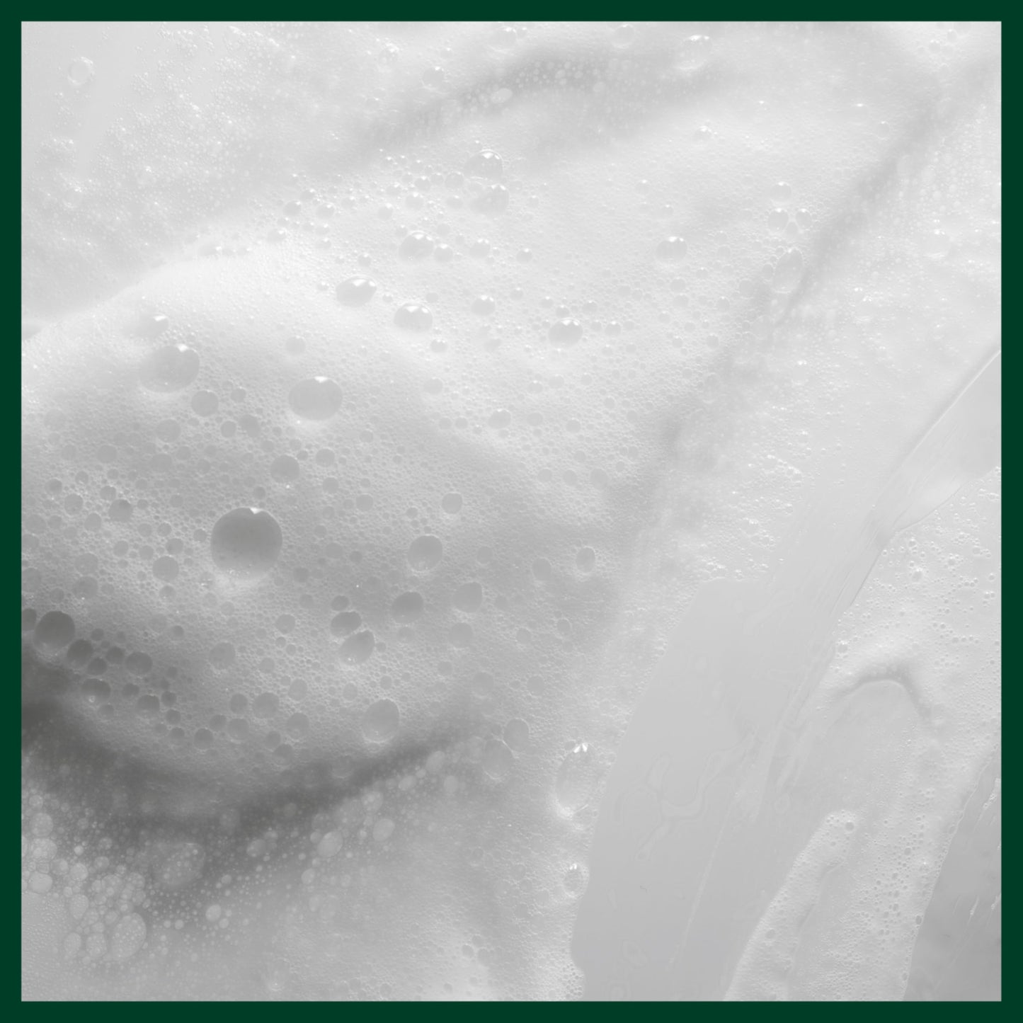 Aveda Scalp Solutions Balancing Shampoo | Gentle Purifying Shampoo for All Hair Types | Removes Pollution & Build-Up, Improves Scalp Hydration | 94% Naturally Derived*, 1.7 Fl Oz