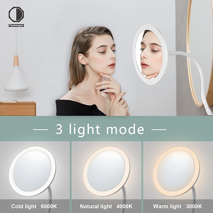 6.5" Clip On Gooseneck Makeup Vanity Mirror With Light, 2000mAh USB Lighted Travel Mirror, White 1X