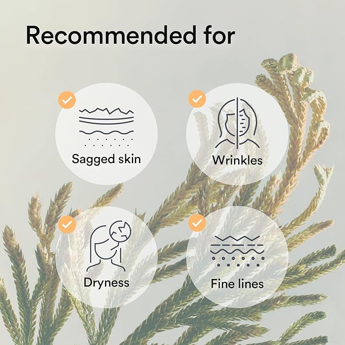 Abib Collagen Gel Mask Jericho Rose Jelly 4 Sheets (Nourishing) I Korean Vegan Collagen, Cooling Nourishing Hyaluronic Acid Hydrogel Face Mask Skin Care