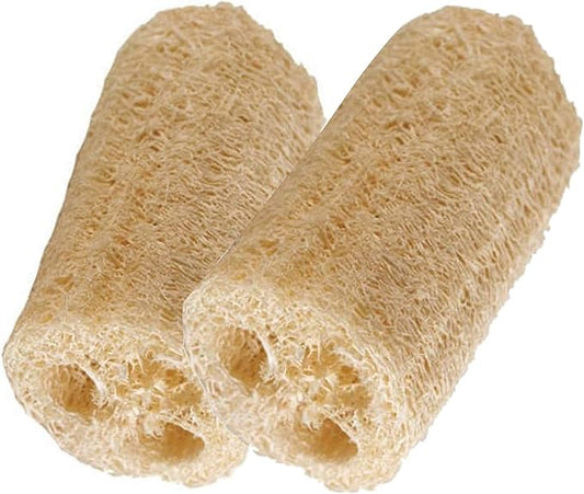 HealthGoodsIn - Organic Loofa Natural Bath Sponge, Set of 2 Exfoliating Bath Sponge Scrubber | Naturally Grown Loofah (Set of 2)
