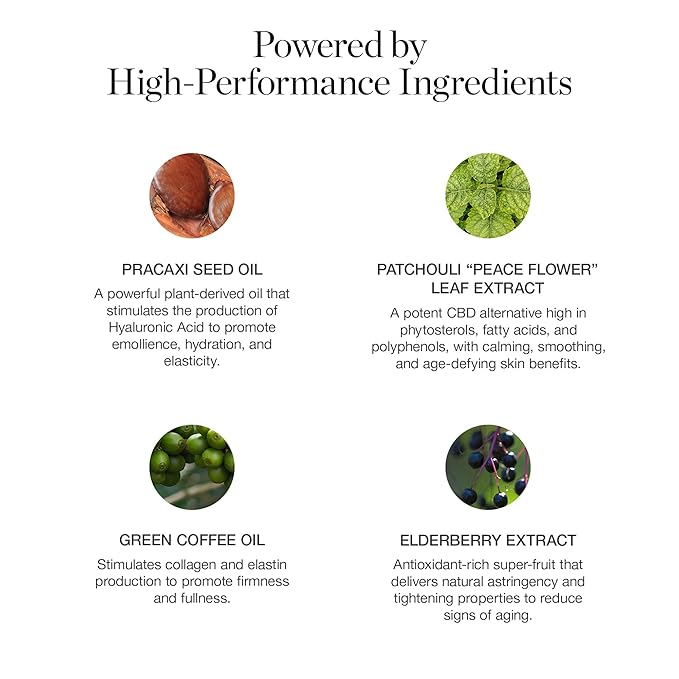 Ogee Sculpted Complexion Foundation Stick (Birch 0.25N - Fair, Neutral Undertones) Full Coverage Foundation Makeup - Instantly Balance & Even Complexion - 70% Organic Ingredients