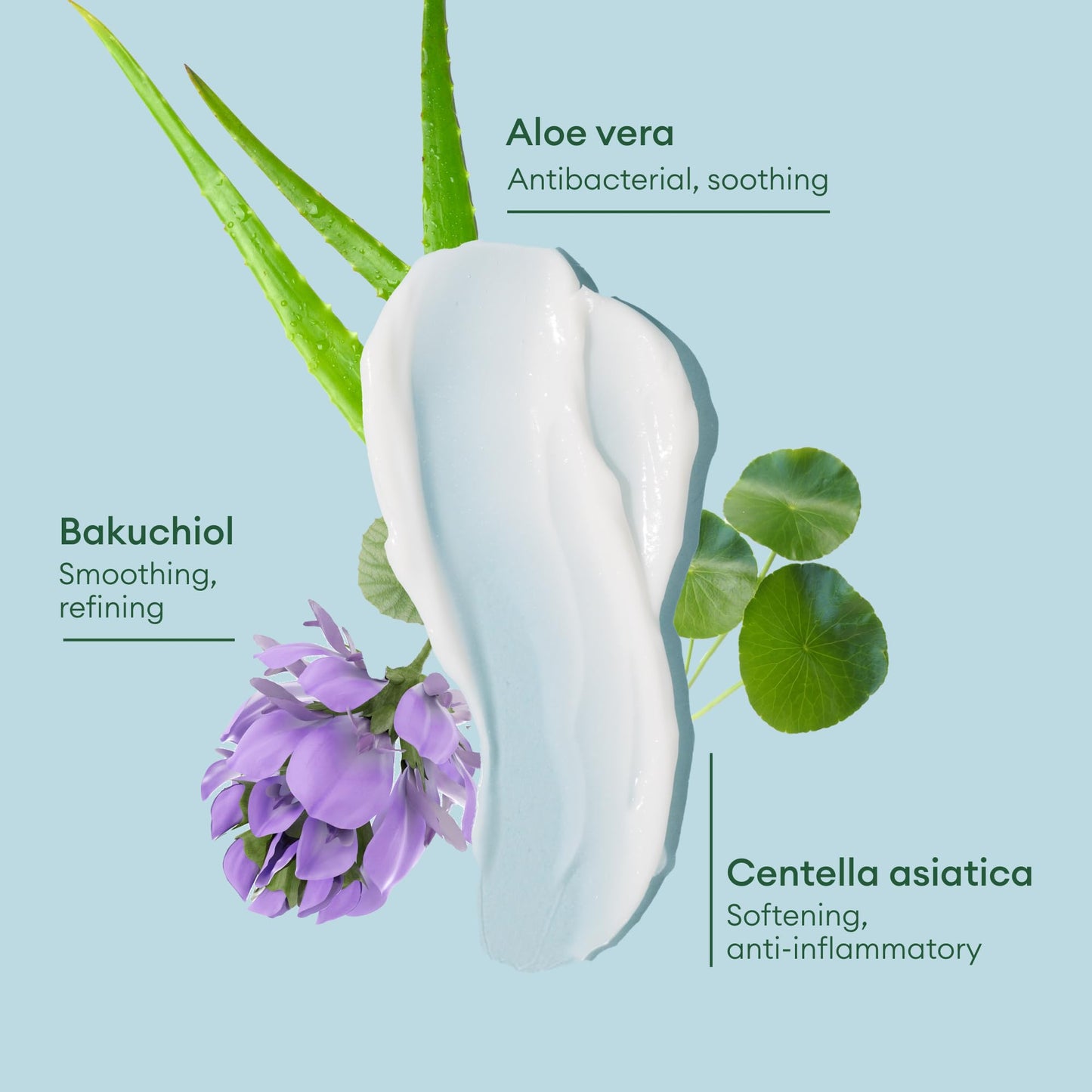 LUMA & LEAF Clear Slate Niacinamide Serum for Face – Redness & Acne Relief with Bakuchiol & Aloe Vera – Hydrating Vegan Daily Face Serum for Oily & Combination Skin