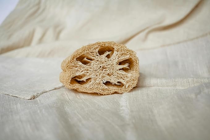 Medium Mexican Loofah Vegetable Sponge (13cm) | Loofah Bath Sponges | All Purpose Vegetable Sponge | Eco Friendly 100% Natural & Biodegradable | Daily Skin Cleansing Care for Women and Men