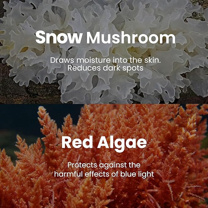 BLAQ Snow Circles Premium Under Eye Hydrating Patches for Dry Skin, Dark Circles and Puffiness. Snow Mushroom, Green Tea, Marine Algae, Vegan and Cruelty-Free, 30-Pack