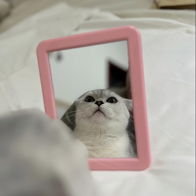 Magnetic locker mirror, 5"x7", small rectangular mirror for the back of locker doors, suitable for school lockers, work lockers, home refrigerators, magnetic whiteboards, locker accessories (Black)