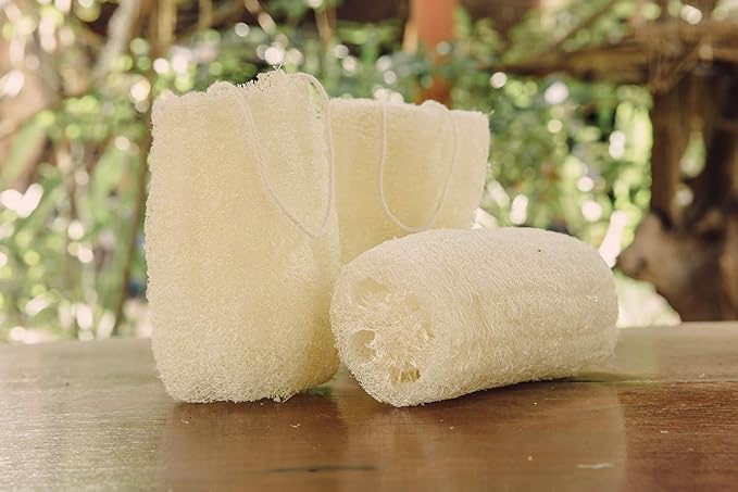 FAAY 4 Pcs Premium Natural Exfoliating Loofah Sponge: 6" Eco-friendly Unbleached Luffa Body Scrubber Rejuvenating Your Skin for Men and Women. Paraben Free Bath Sponge, Shower Loofah