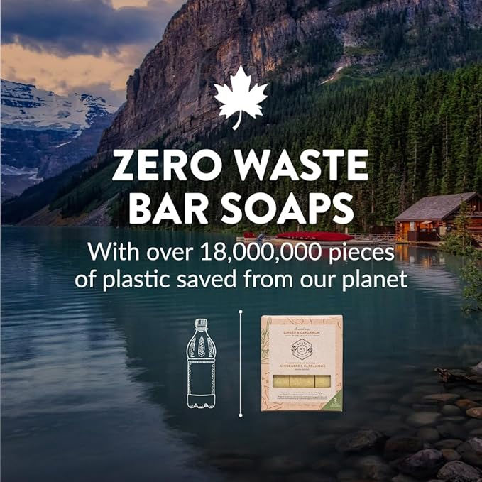 Handmade in Canada, Plant Based Natural Bar Soap Cold Pressed For Face & Body, w/Premium Essential Oils, For Men & Women 3 Pack (Ginger Cardamom)