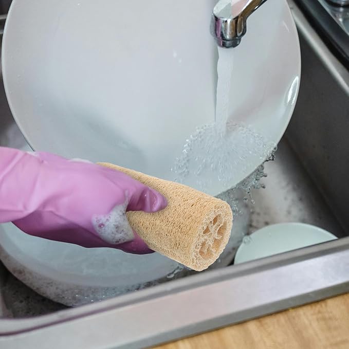 Beaupretty 3pcs Loofah Dish Sponge, Dishwashing Scouring Pad Natural Loofah Vegetable Scrubber for Kitchen